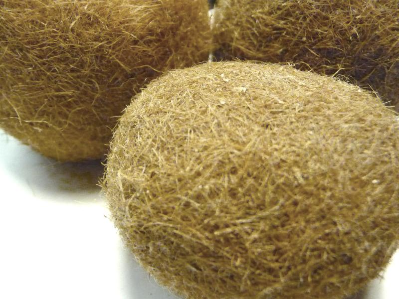 Neptunballfasern Neptunballfasern